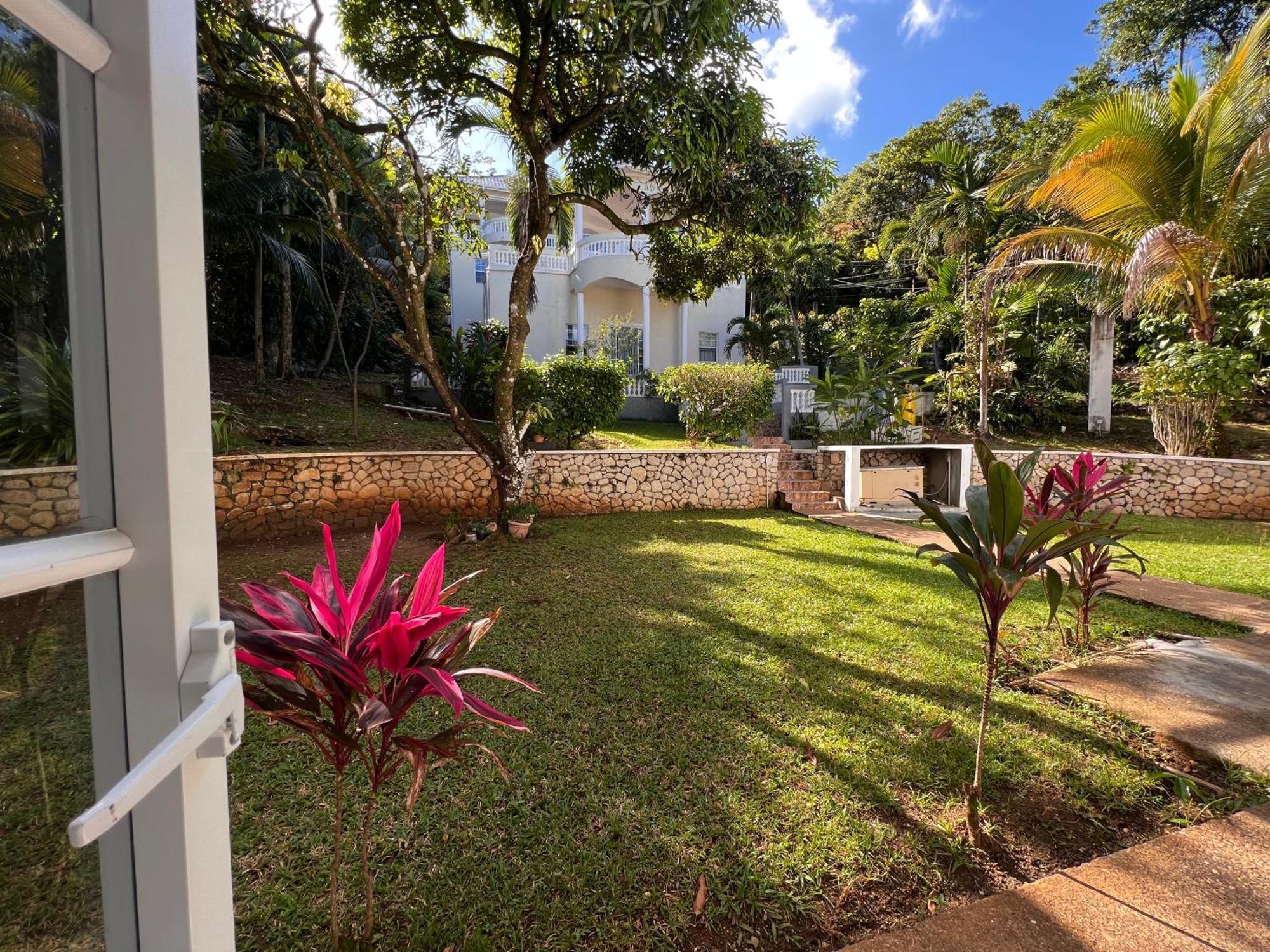All Nations Guest House Port Antonio Rom bilde